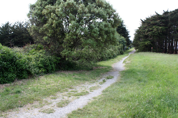 Le chemin du Roy